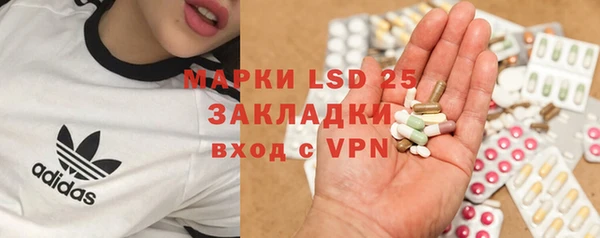 ГАЛЛЮЦИНОГЕННЫЕ ГРИБЫ Лихославль