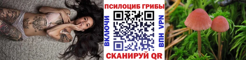 Псилоцибиновые грибы ЛСД Гаджиево
