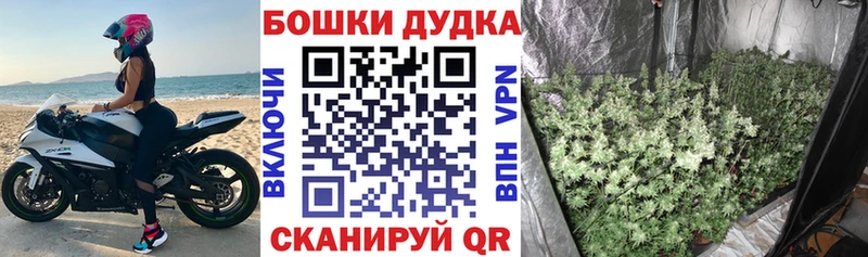 Каннабис Ganja  Гаджиево 